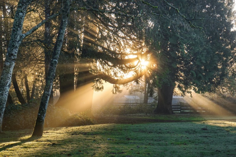 Sunlight.jpg põhjustatud tuhmunud vöötkood