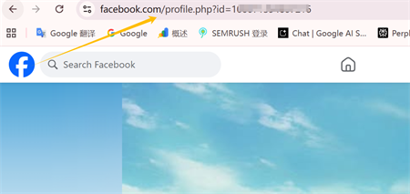Facebook profiili link